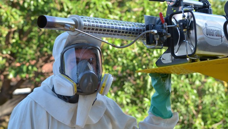 O esforço da população junto as ações do Governo do Distrito Federal (GDF) resultaram em uma redução de 76,7% nos casos de dengue em Samambaia.
